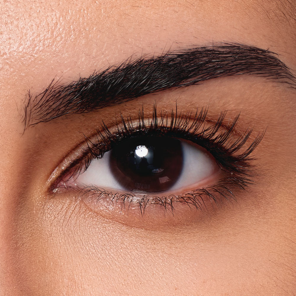 LUVÉ® Short Natural Black Lashes - Upgraded All-in-One Box